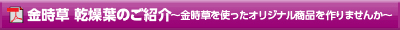 金時草 乾燥葉のご紹介 ～金時草を使ったオリジナル商品を作りませんか～
